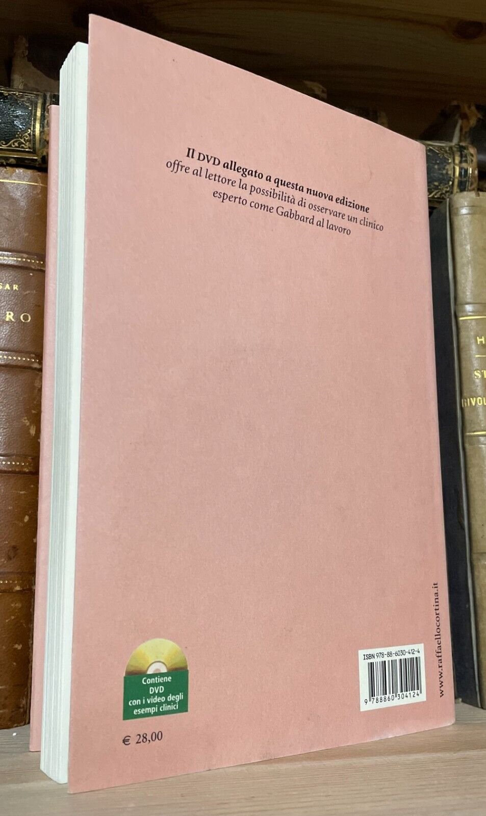 Gabbard Introduzione alla psicoterapia psicodinamica con DVD Raffaello Cortina - immagine 2