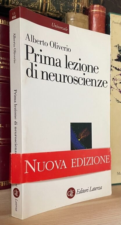 Alberto Oliverio Prima lezione di neuroscienze Editori Laterza