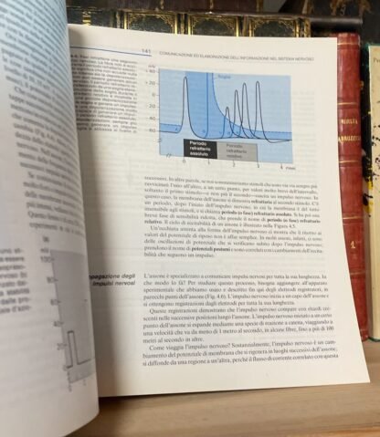 Rosenzweig Leiman Psicologia fisiologica Piccin 1986 - immagine 5