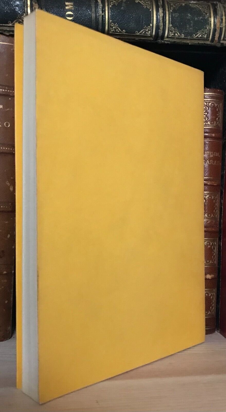 Wolman Manuale di psicoanalisi infantile I metodi di cura Vol. II Astrolabio - immagine 2