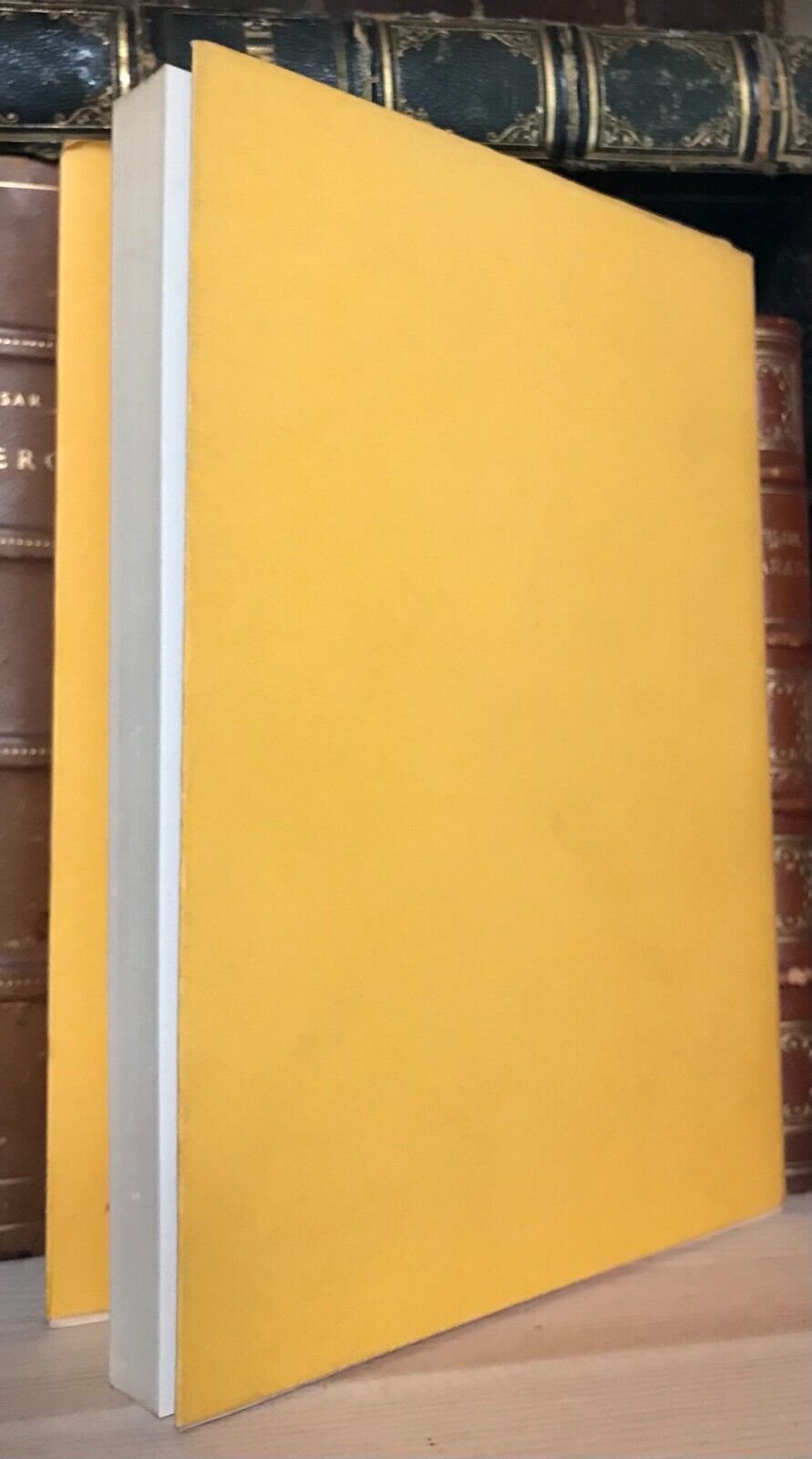 Wolman Manuale di psicoanalisi infantile III approcci diversi prevenzione - immagine 2