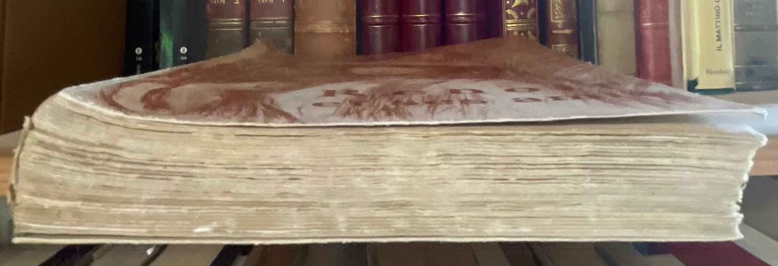 Georges Rivière Renoir et ses amis Henry Floury 1921 - immagine 16