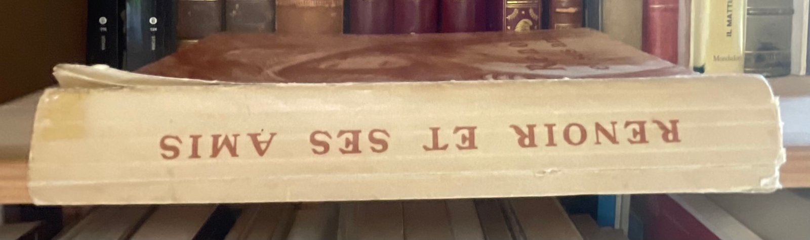 Georges Rivière Renoir et ses amis Henry Floury 1921 - immagine 17