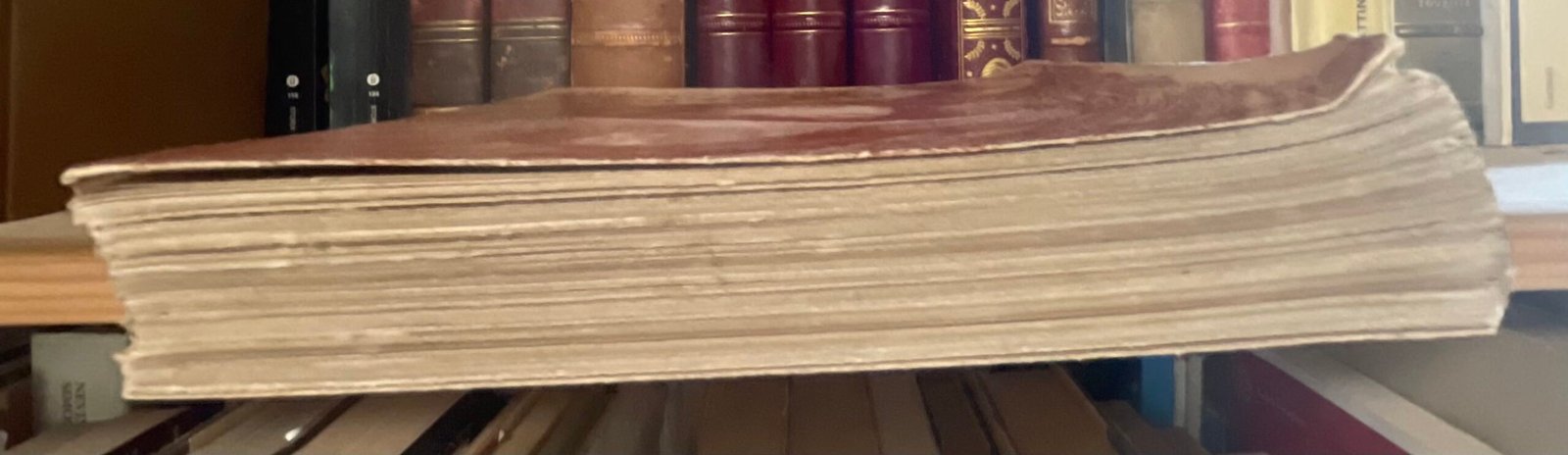 Georges Rivière Renoir et ses amis Henry Floury 1921 - immagine 18