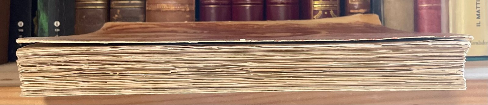 Georges Rivière Renoir et ses amis Henry Floury 1921 - immagine 19