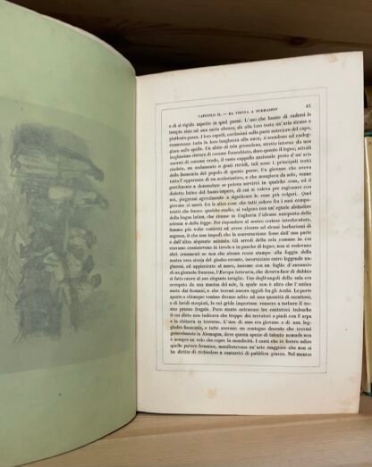 Di Demidoff Viaggio nella Russia meridionale e nella Crimea Fontana 1841 - immagine 9