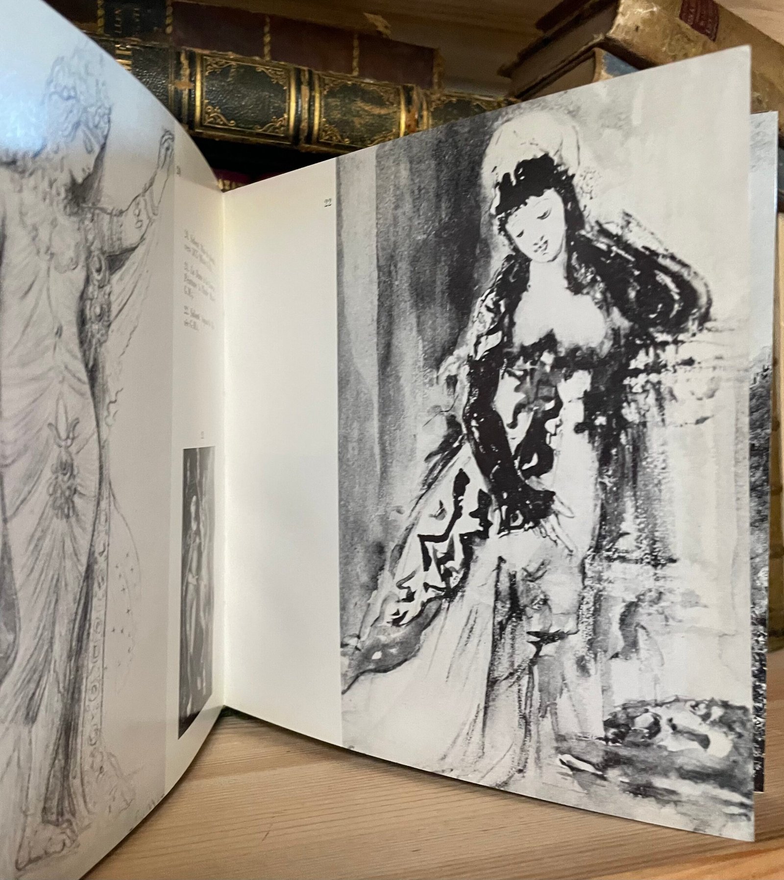 L'art fantastique de Gustave Moreau Ragnar von Holten Pauvert 1960 - immagine 11