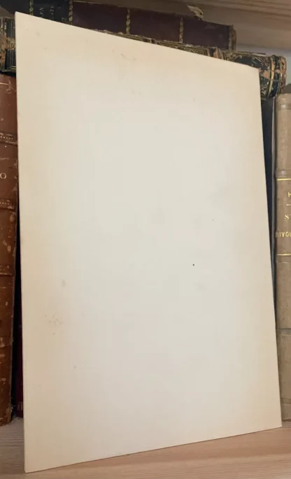 Alessandro Galuzzi Un elenco dei documenti relativi ai minimi 1972 Estratto - immagine 2