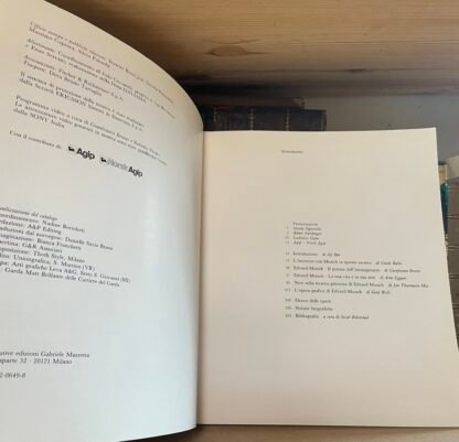 Munch Catalogo della Mostra Palazzo Braschi Roma Mazzotta Editore 1985 - immagine 13