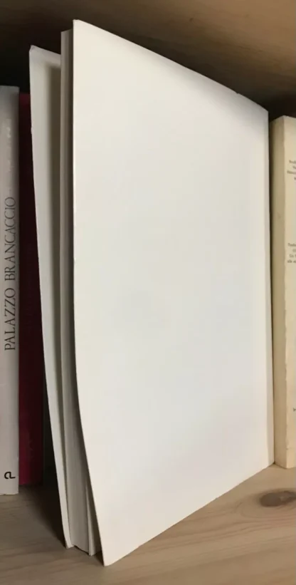 AA.VV. Martino Filetico Umanista e maestro di vita Atti del Convegno Casamari - immagine 2