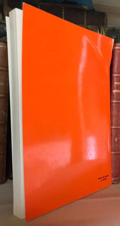 Caldana La riabilitazione della memoria dopo danno cerebrale Marrapese 1990 - immagine 2