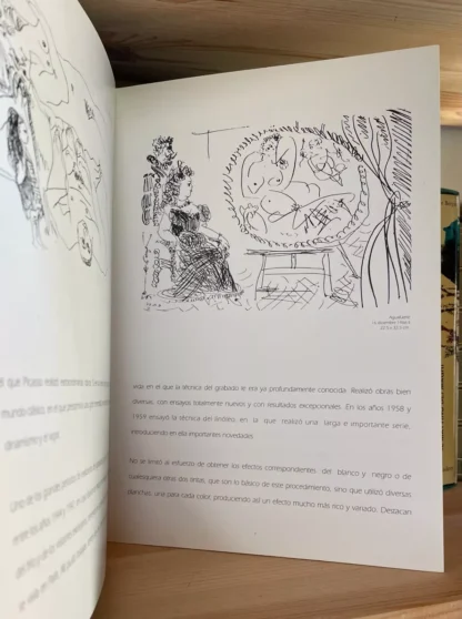 Exposicion Picasso Ayuntamiento de Jerez 1995 - immagine 3