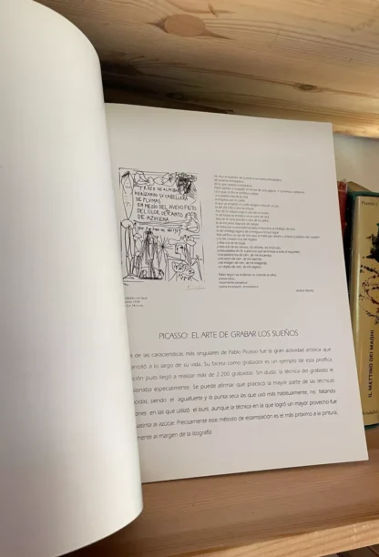 Exposicion Picasso Ayuntamiento de Jerez 1995 - immagine 5