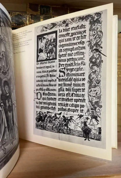 Stiftskirche und Stiftsbibliothek St. Gallen 2 edizione 1976 - immagine 11