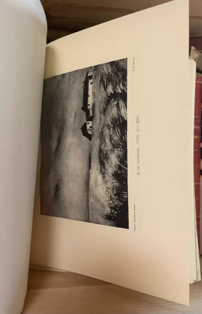 Florent Fels Vlaminck Marcel Seheur éditeur 1928 - immagine 11