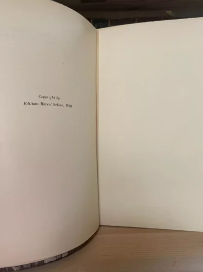 Florent Fels Vlaminck Marcel Seheur éditeur 1928 - immagine 8