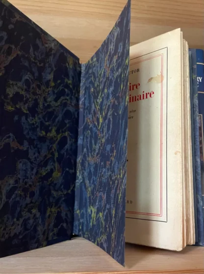 Michel Butor Histoire extraordinaire Gallimard 1961 - immagine 4