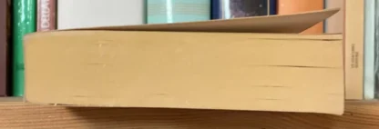 Giuseppe Campolieti Il Re Lazzarone Mondadori 2003 - immagine 6