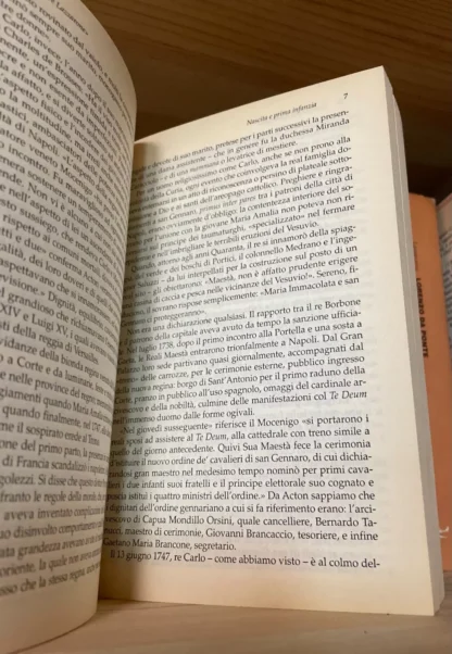 Giuseppe Campolieti Il Re Lazzarone Mondadori 2003 - immagine 4