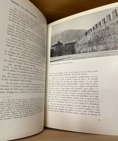 Aldo Gorfer Guida dei Castelli del Trentino Saturnia 1965 - immagine 8