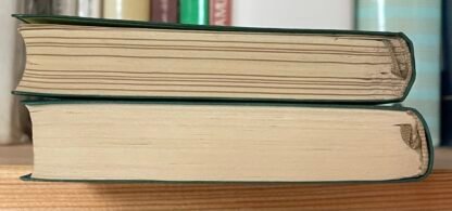Cervantes Don Chisciotte due voll. Mondadori biblioteca romantica Borgese 1933 - immagine 4