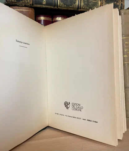 Bonanni Guida storica della città dell'Aquila 1874 Ristampa anastatica 1979 - immagine 4