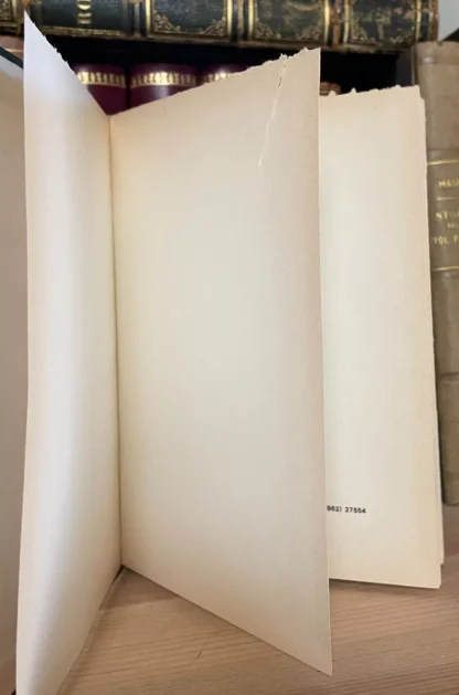 Bonanni Guida storica della città dell'Aquila 1874 Ristampa anastatica 1979 - immagine 5