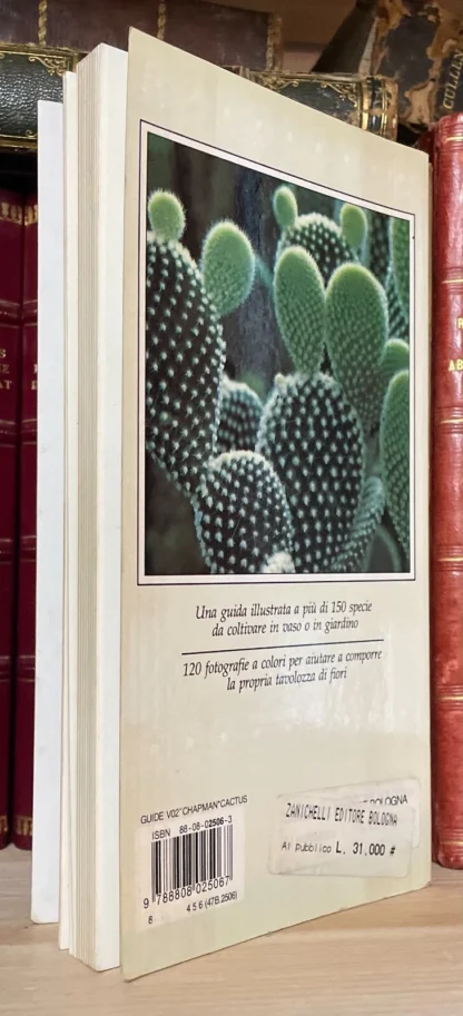 Peter Chapman Margaret Martin Cactus e altre succulente Zanichelli - immagine 2
