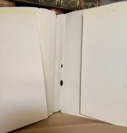 Eduardo De Filippo Il Paese di Pulcinella Casella Editore 1951 - immagine 5