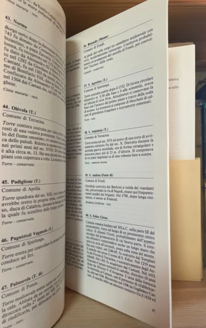A.VV. Carta dei luoghi fortificati del Lazio Palombi Editori 1985 - immagine 5