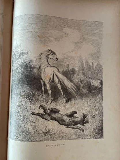 Le Favole di La Fontaine ill. da Doré trad. di E. De Marchi Sonzogno 1886 - immagine 7