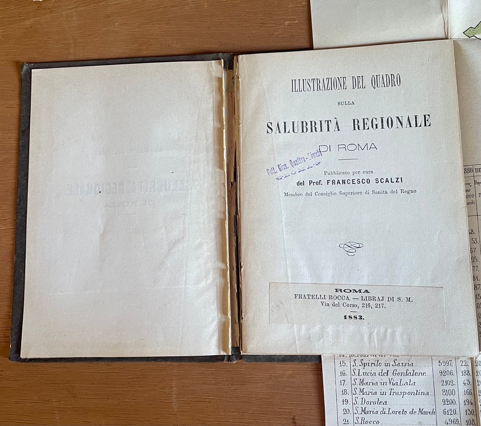 Scalzi Francesco Illustrazione del quadro sulla salubrità regionale di Roma 1883 - immagine 5