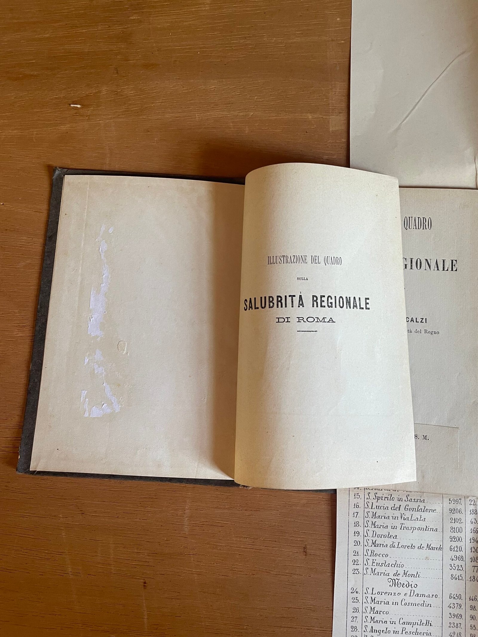 Scalzi Francesco Illustrazione del quadro sulla salubrità regionale di Roma 1883 - immagine 6