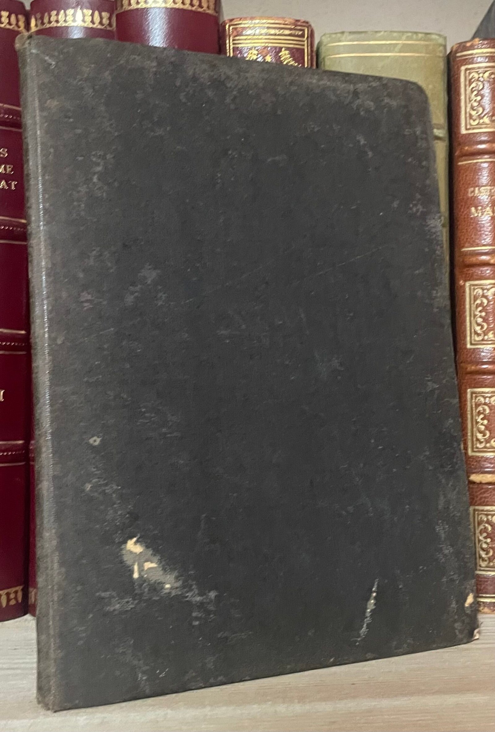 Scalzi Francesco Illustrazione del quadro sulla salubrità regionale di Roma 1883 - immagine 2