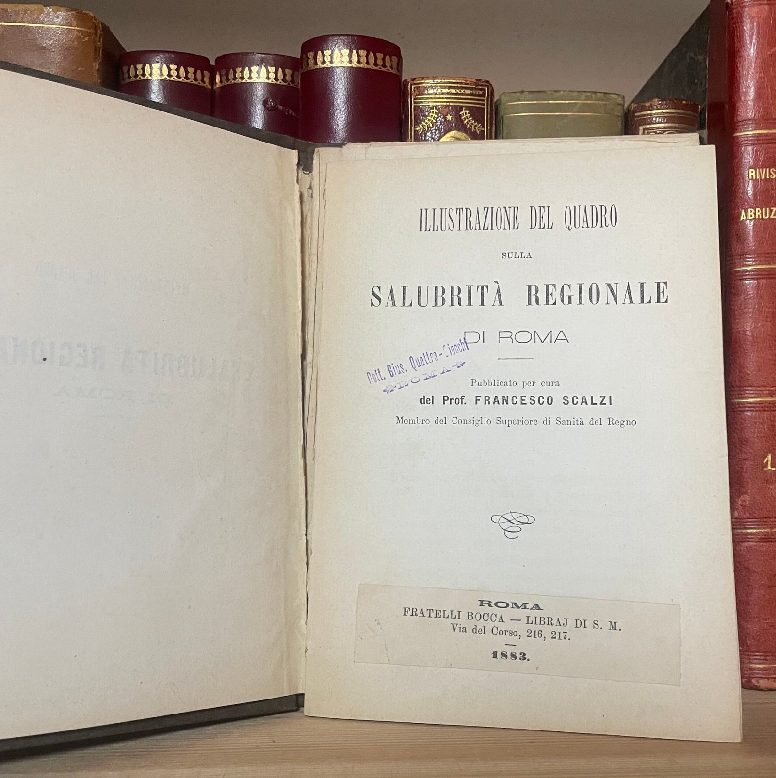 Scalzi Francesco Illustrazione del quadro sulla salubrità regionale di Roma 1883 - immagine 4