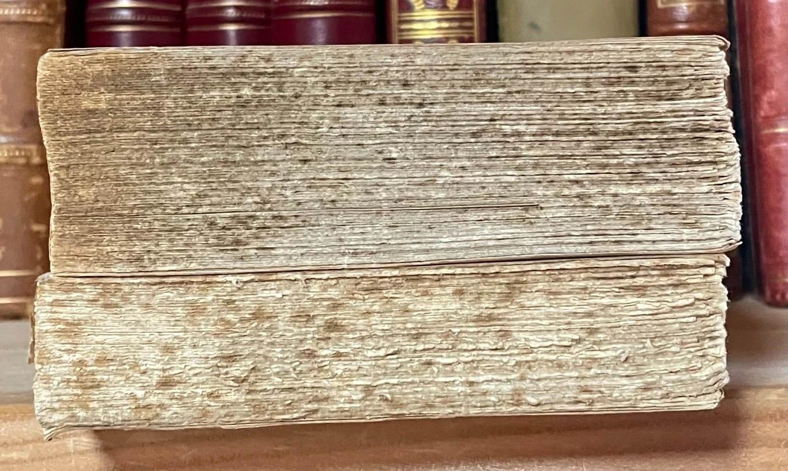 Gabriele D'Annunzio Le Faville del maglio due tomi Treves 1924-1928 - immagine 22