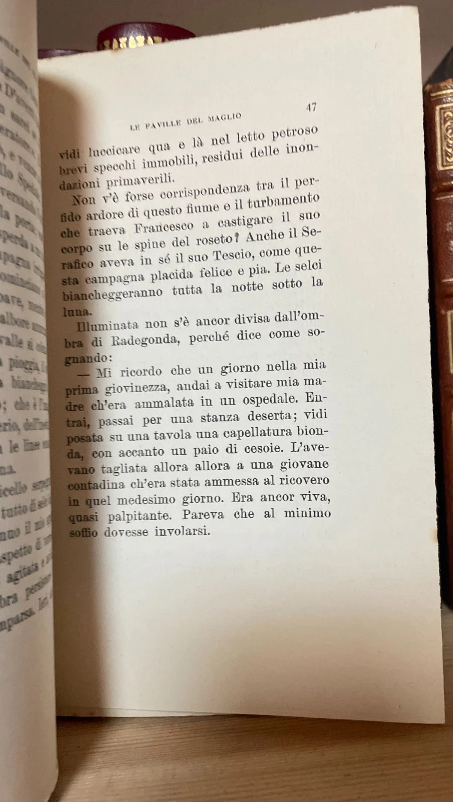 Gabriele D'Annunzio Le Faville del maglio due tomi Treves 1924-1928 - immagine 18