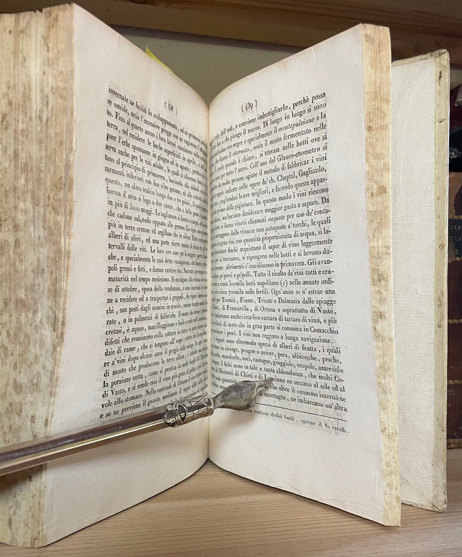 Giuseppe Del Re Descrizione topografica d'reali dominj al di qua del faro nel Regno delle due Sicilie 2 Tomi Tipografia dentro la Pietà de' Turchini 1830-1835 - immagine 23