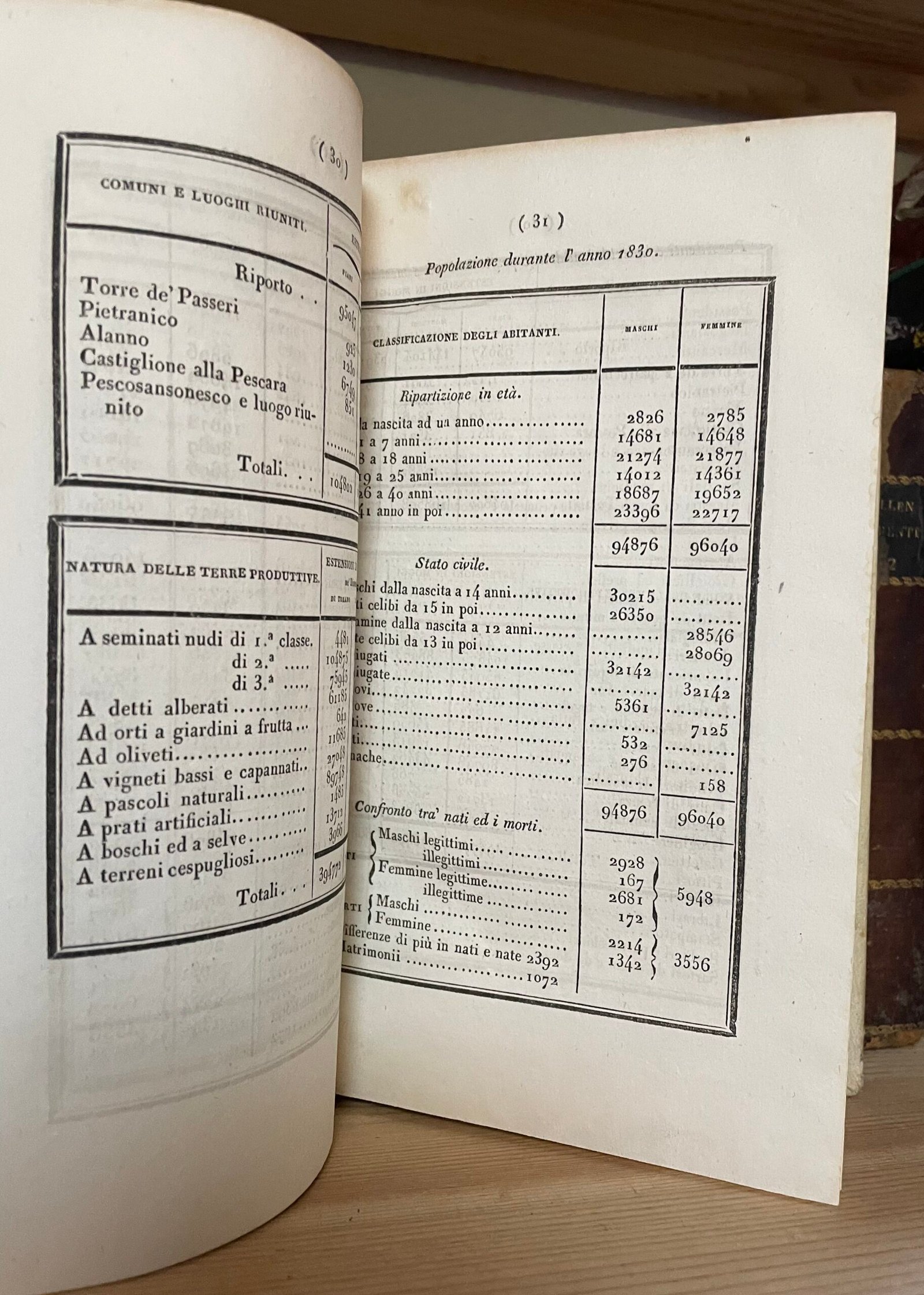 Giuseppe Del Re Descrizione topografica d'reali dominj al di qua del faro nel Regno delle due Sicilie 2 Tomi Tipografia dentro la Pietà de' Turchini 1830-1835 - immagine 11
