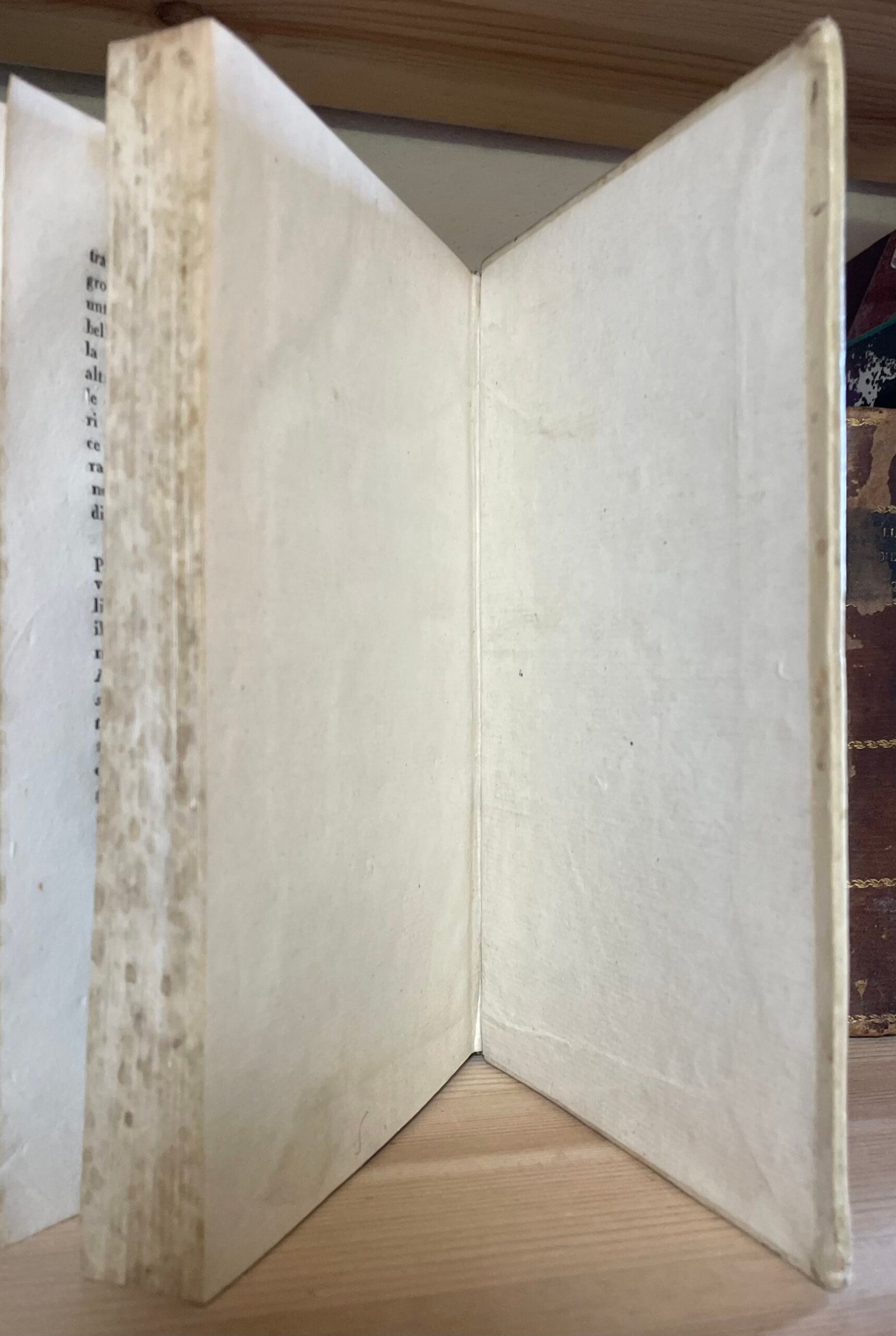 Giuseppe Del Re Descrizione topografica d'reali dominj al di qua del faro nel Regno delle due Sicilie 2 Tomi Tipografia dentro la Pietà de' Turchini 1830-1835 - immagine 21