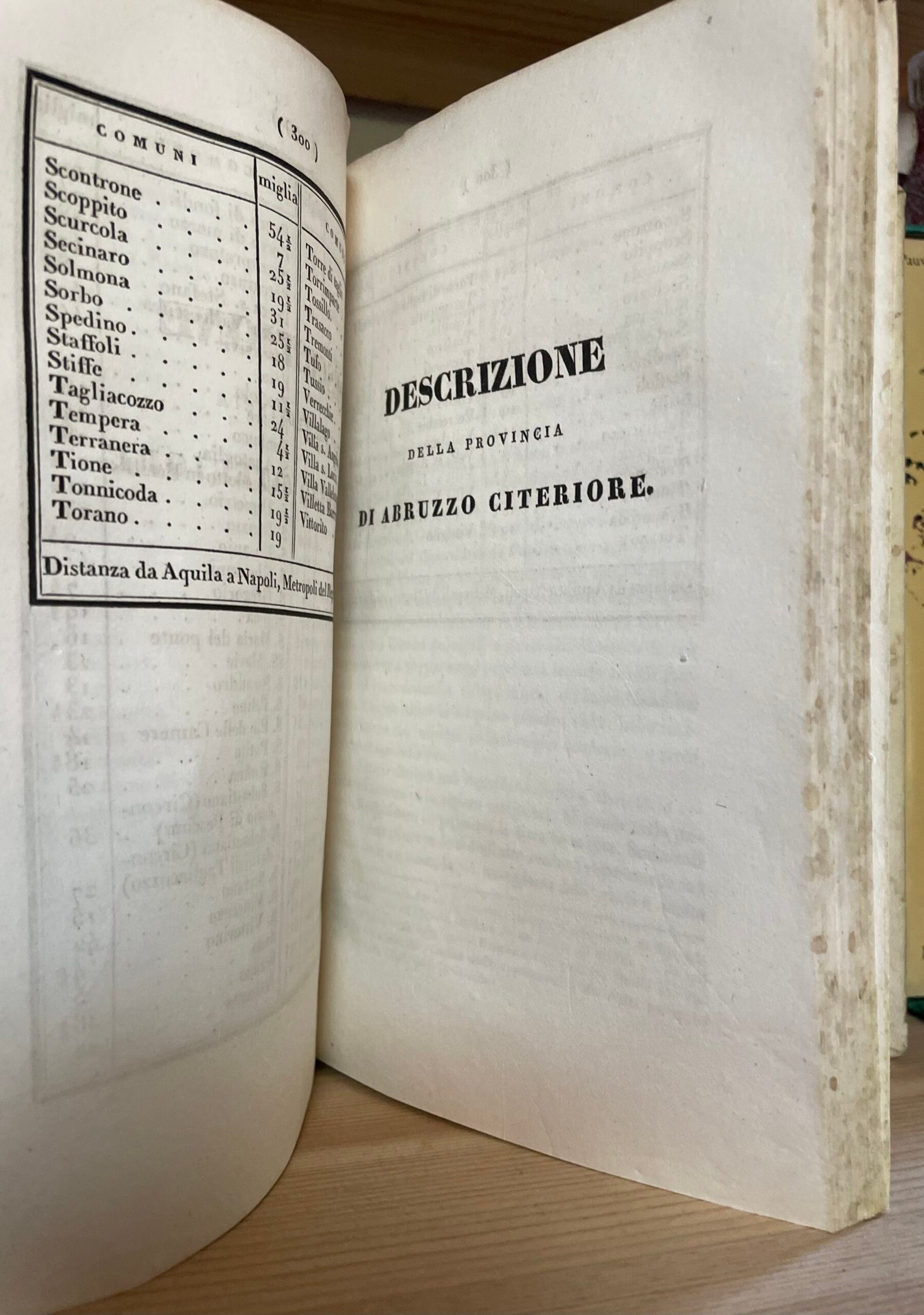 Giuseppe Del Re Descrizione topografica d'reali dominj al di qua del faro nel Regno delle due Sicilie 2 Tomi Tipografia dentro la Pietà de' Turchini 1830-1835 - immagine 16