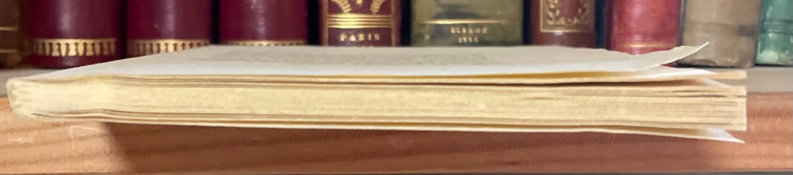 Mario Dell'Arco Arciroma 1978 edizione 111 copie numerate es. ad personam - immagine 6