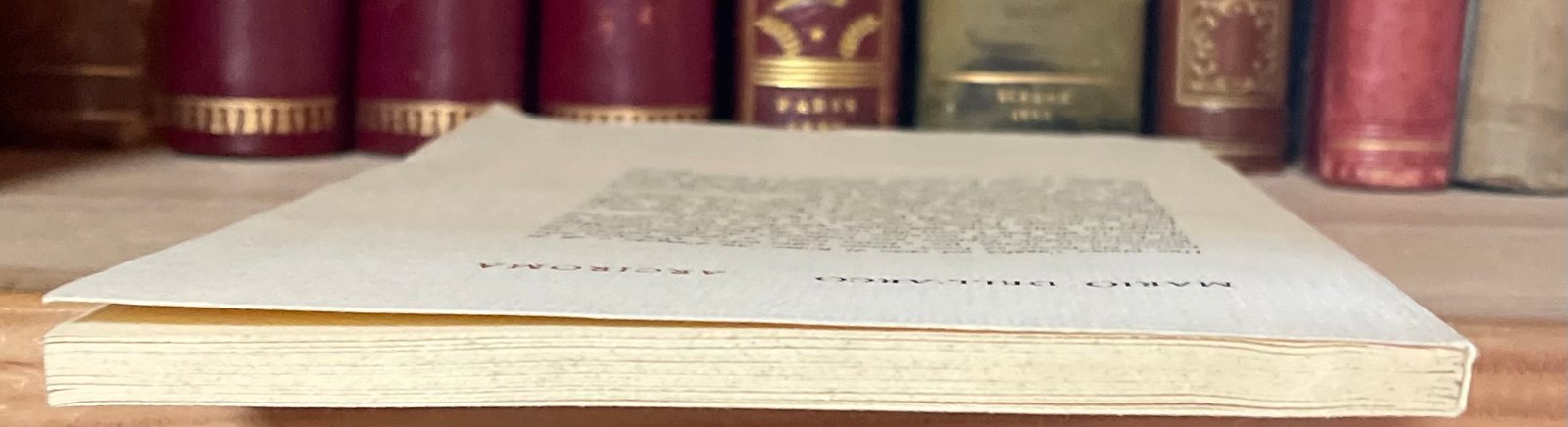 Mario Dell'Arco Arciroma 1978 edizione 111 copie numerate es. ad personam - immagine 8