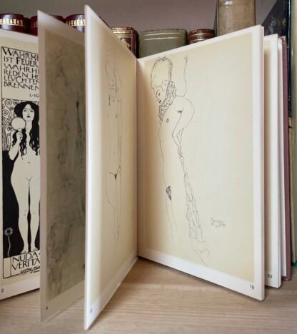 Alice Strobl Gustav Klimt drawings and Paintings Verlag Galerie Welz 1972 - immagine 7