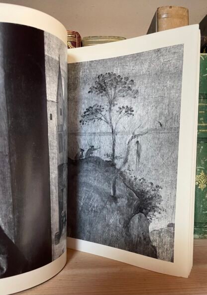 Hieronymus Bosch in der Gemäldegalerie der Akademie der Bildenden Künste in Wien - immagine 10