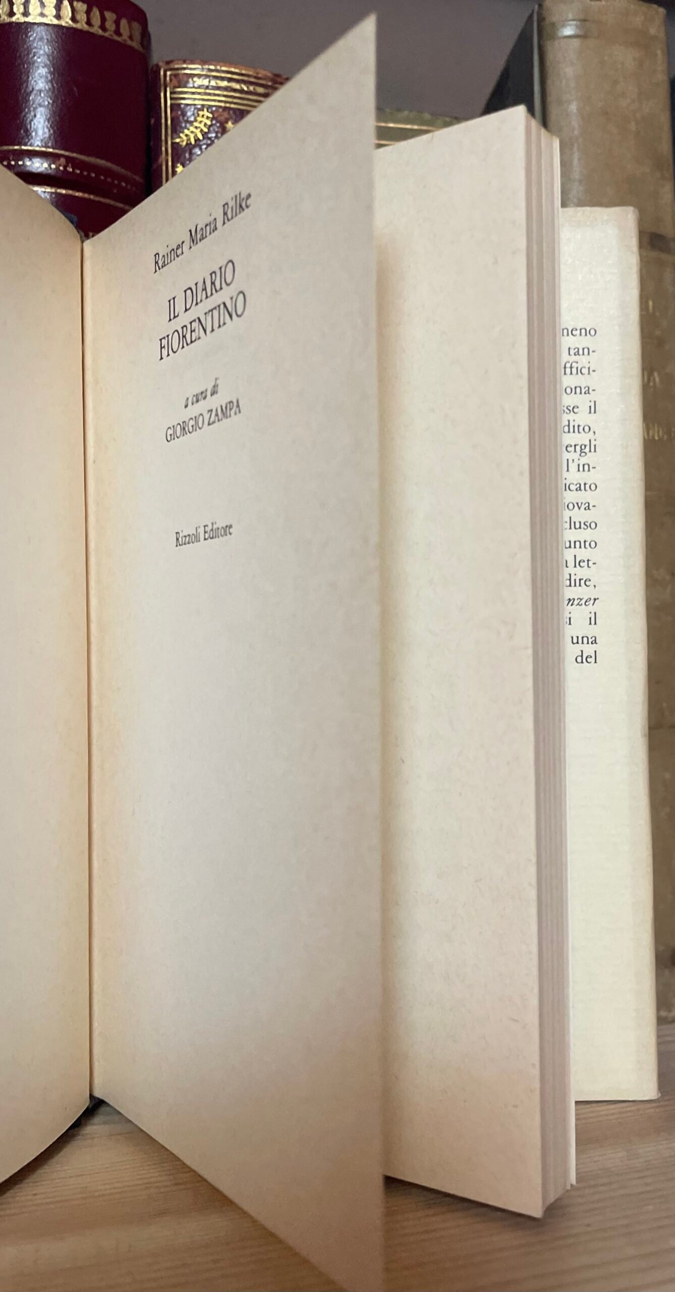 Rilke Il diario fiorentino a cura di Giorgio Zampa Rizzoli 1981 - immagine 8