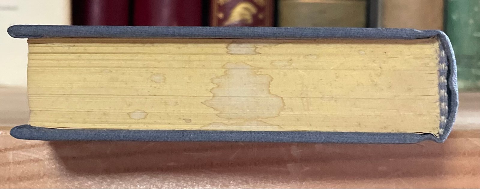 Unamuno Vita di Don Chisciotte e di Sancio a cura di Carlo Bo Rizzoli 1983 - immagine 21