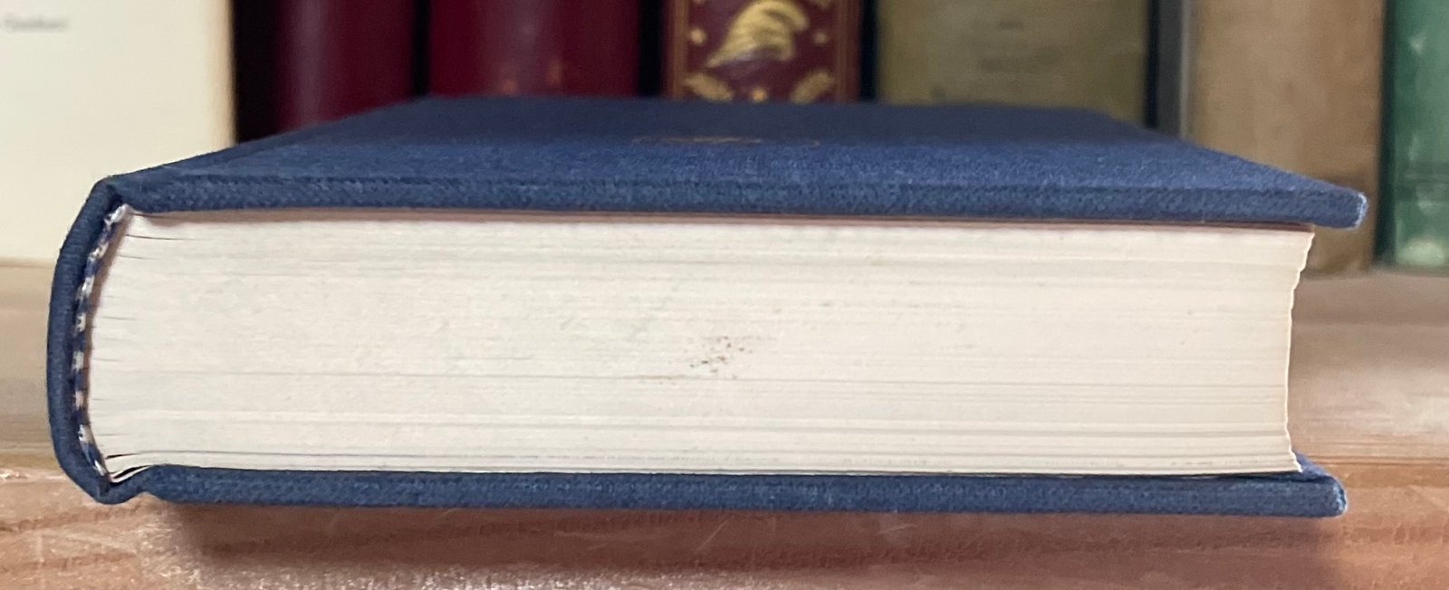 Unamuno Vita di Don Chisciotte e di Sancio a cura di Carlo Bo Rizzoli 1983 - immagine 19