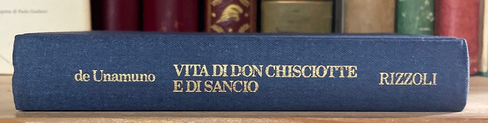 Unamuno Vita di Don Chisciotte e di Sancio a cura di Carlo Bo Rizzoli 1983 - immagine 18