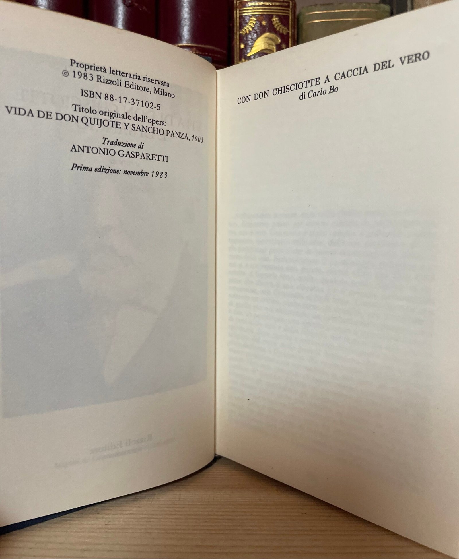 Unamuno Vita di Don Chisciotte e di Sancio a cura di Carlo Bo Rizzoli 1983 - immagine 6